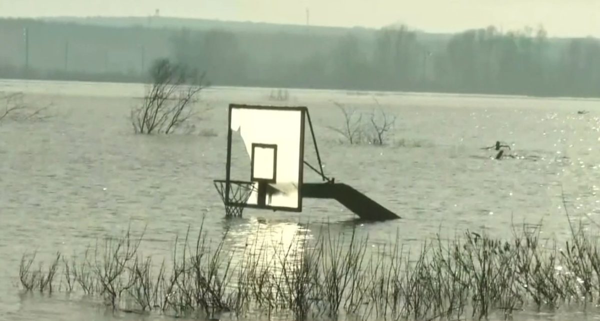 Έβρος: Το λιώσιμο των χιονιών και τα σπασμένα αναχώματα κρατούν τον κάμπο κάτω από το νερό