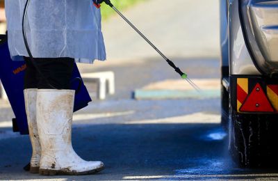 Δήμος Πόλης Χρυσοχούς: Ζητά με επιστολή σαφείς οδηγίες από Υπουργείο Γεωργίας για αφθώδη πυρετό